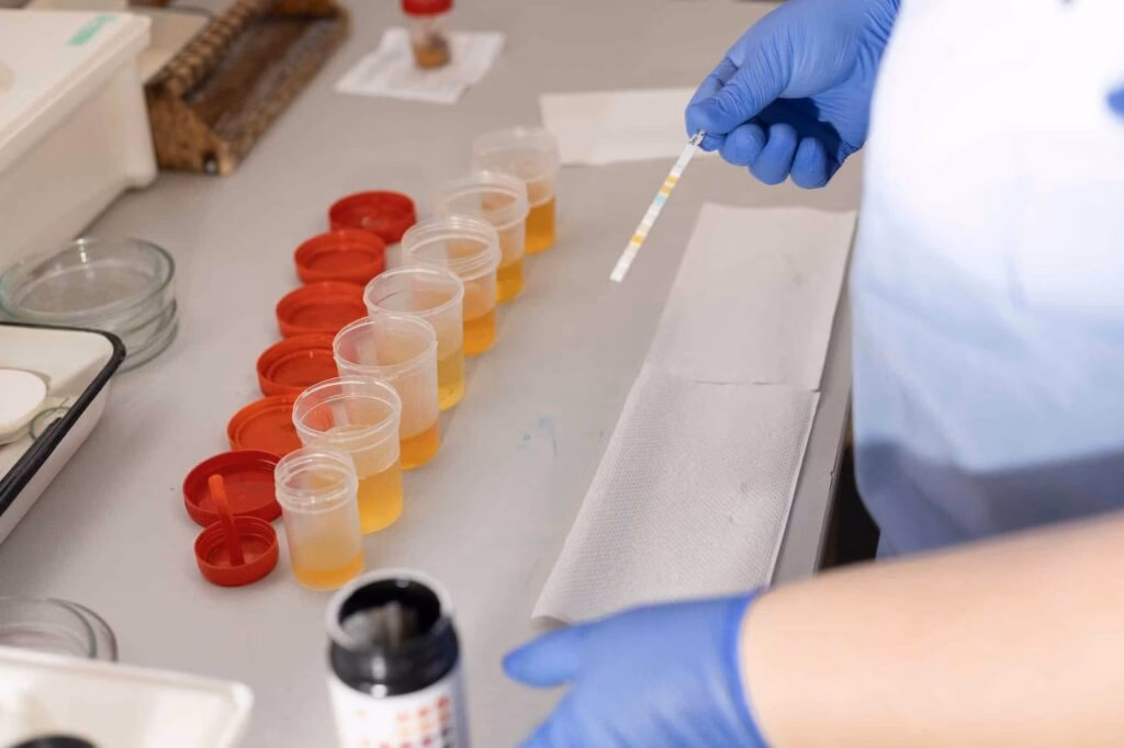 Analysis in a medical laboratory.